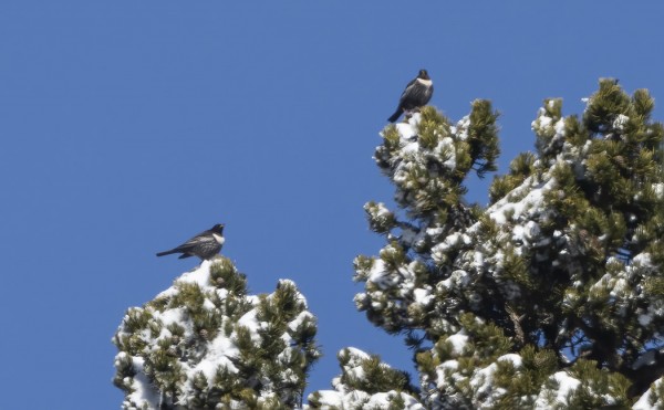 sepelrastas_01_Espanja_04_22