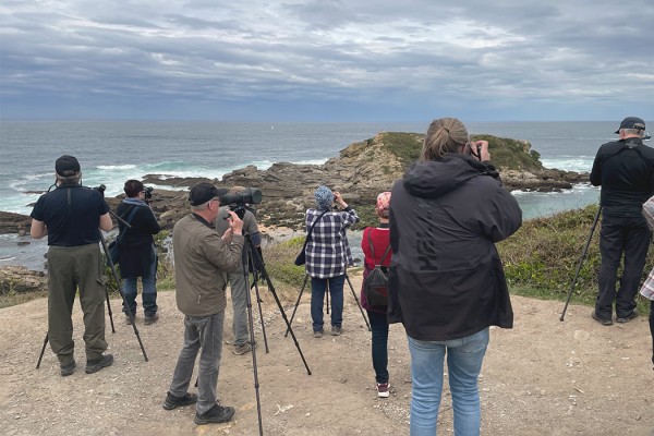 STAIJIA HIGER CAPOLLA