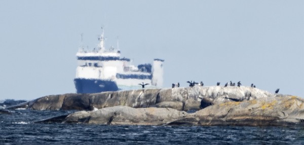 BALDURILLA ON OLLUT VAIKEUKSIA RANTAUTUA JURMOON, NYT MERIVESI ON JO NOUSSUT JA ONGELMAT POISTUNEET