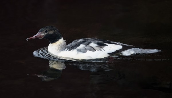ISOKOSKELO PIMEÄSSÄ RANTAVAJAN ALLA