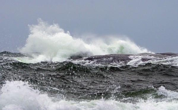TÄNÄÄN KESNÄSIN RANNALLA ITÄMERI MYLLERSI