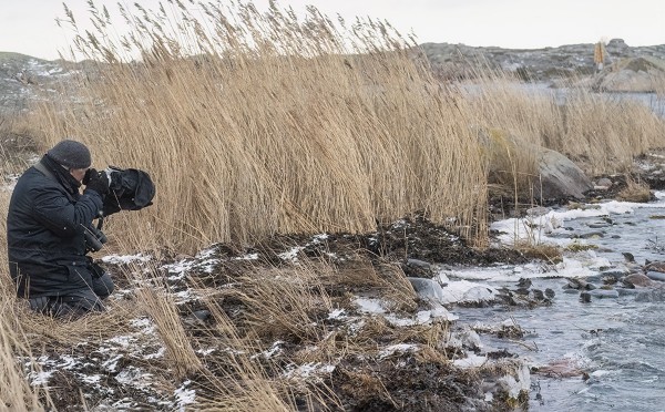 .. JA MERISIRRIEN KUVAUSTA