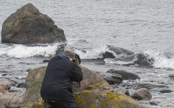 ... JA JORMA KUVAA SIRREJÄ