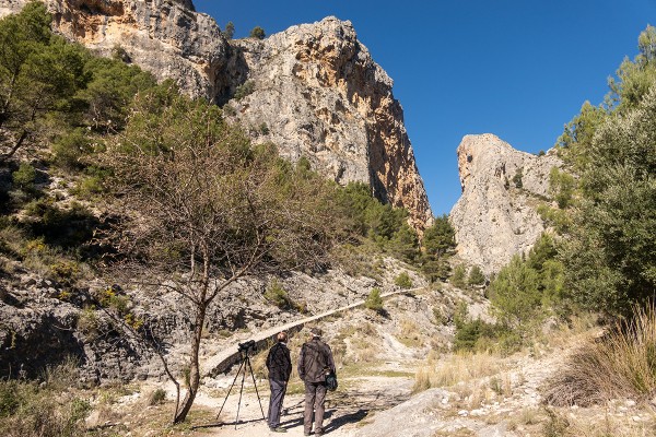 BARRANC DEL CLINT OLI KOMEA PAIKKA