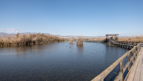 EL HONDON KOSTEIKKOA ALICANTEN LÄHELLÄ