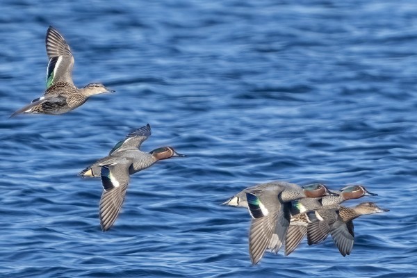 TAVEJA ON NYT MUUTOLLA