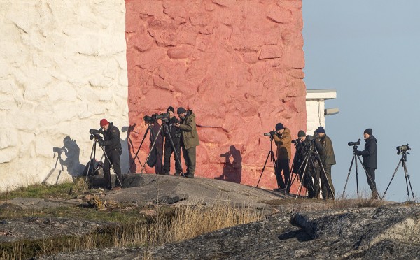 staijarit_Korppoo_05_23