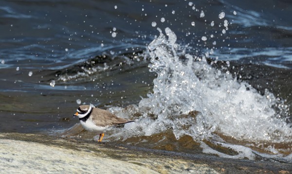 OSA TYLLEISTÄ ON JO PESIMÄPUUHISSA REVIIREILLÄÄN