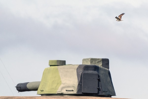 KALASÄÄSKI OHITTAA KATTRUMPANIN TYKIT