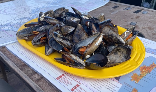 MERIRETKELLÄ SÖIMME SIMPUKOITA JA JOIMME VALKOVIINIÄ